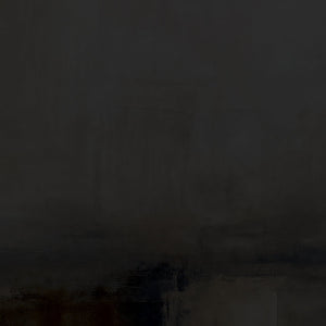 Harmonic Minimalism No. 31 Noir — close-up of the dark misty texture